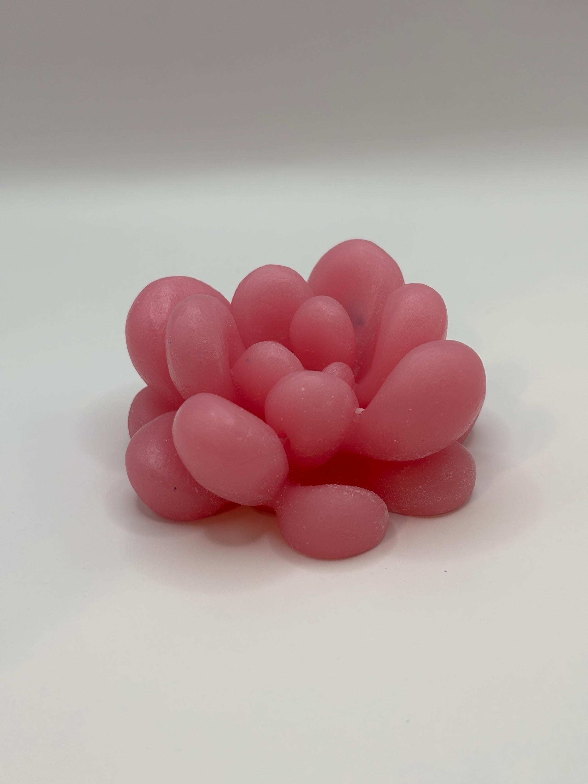 Pink Succulent Paperweight