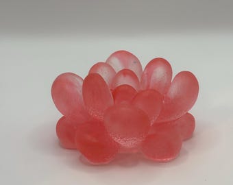 Red Marble Succulent Paperweight