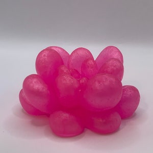 Pink Succulent Paperweight