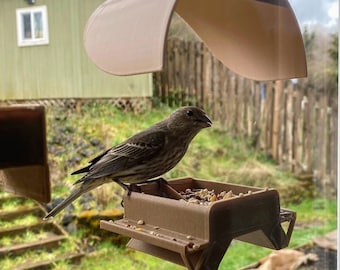3D Printed Window Bird Feeder – Picnic Bench Design, Made in Portland