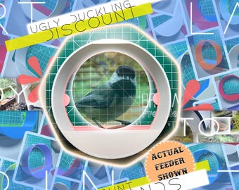 Ugly Duckling Seconds - Discount Window Mounted Bird Feeder, Imperfect, Visually Unique, Functionally Flawless, Ready To Ship - Portland USA