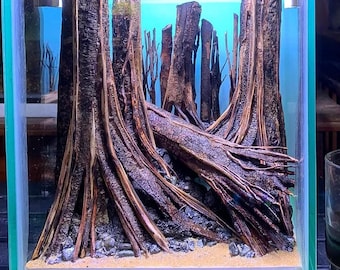Aquarium Driftwood Background Hardscape for Aquatic Plants | Axolotl, Betta Fish & Shrimp Decoration
