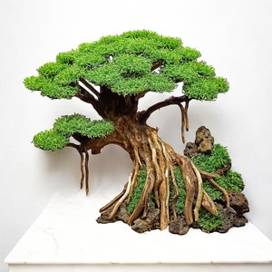 Aquarium Bonsai Driftwood | Bonzai Tree Fake Moss | Betta Fish & Shrimp Tank Decoration | Small - Large Size