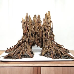 Large Aquarium tree Stump Cave Driftwood | Axolotl Hide, Reptile & Fish Tank Decoration