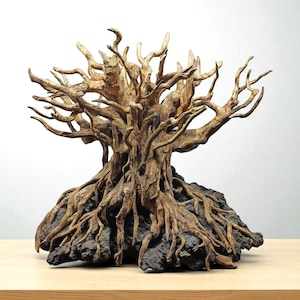Natural Driftwood stump, Bonsai tree stump, Natural Driftwood, Fish Tank Decoration, Aquarium Aquascape, Aquarium Decoration for Fish