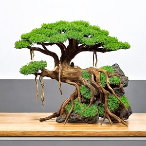 Aquascape Bonsai Aquarium Driftwood Tree with Fake Moss | Betta Fish Tank Decoration