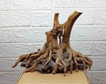 Driftwoods for Aquarium Aquascape, bonsai driftwood, fish tank decoration, aquarium aquascape, aquarium decoration