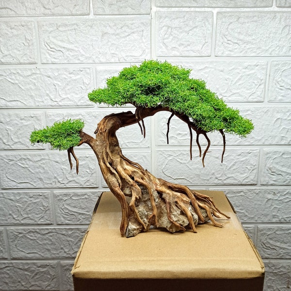 Aquarium Bonsai Tree Etsy
