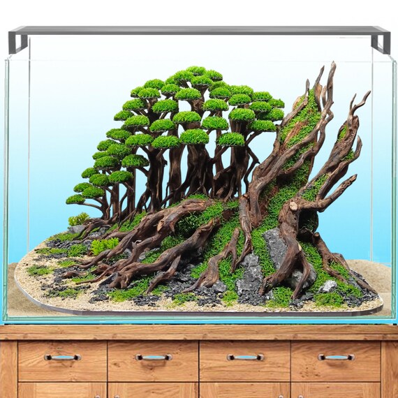 Bonsai Tree Aquarium, Bonsai Driftwood Fake Moss, Bonsai Driftwood, Fish  Tank Decoration, Aquarium Aquascape, Aquarium Decoration - Etsy Israel