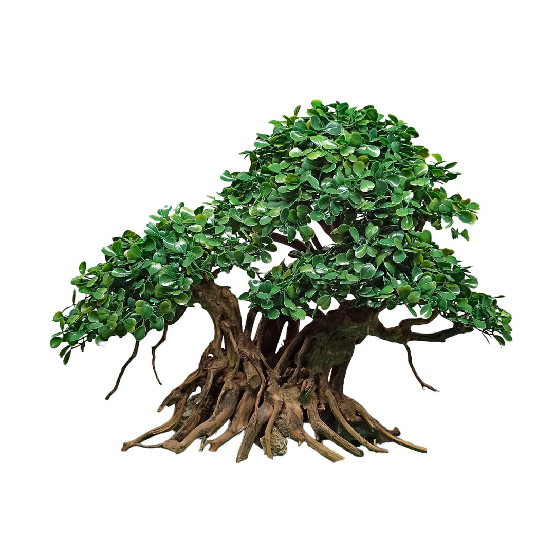 Bonsai Tree Aquarium, Bonsai Driftwood, Fish Tank Decoration, Aquarium