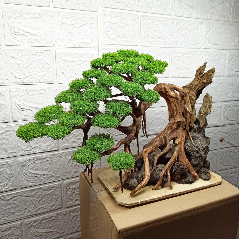 Bonsai Tree Aquarium Bonsai Driftwood Fish Tank Decoration Etsy