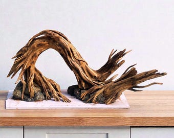 Handgemaakte aquariumtakstomp van drijfhout | Aquascape en terrariumdecor voor planten Anubias, Buchepalandra, Javamos | Ornament bettavis