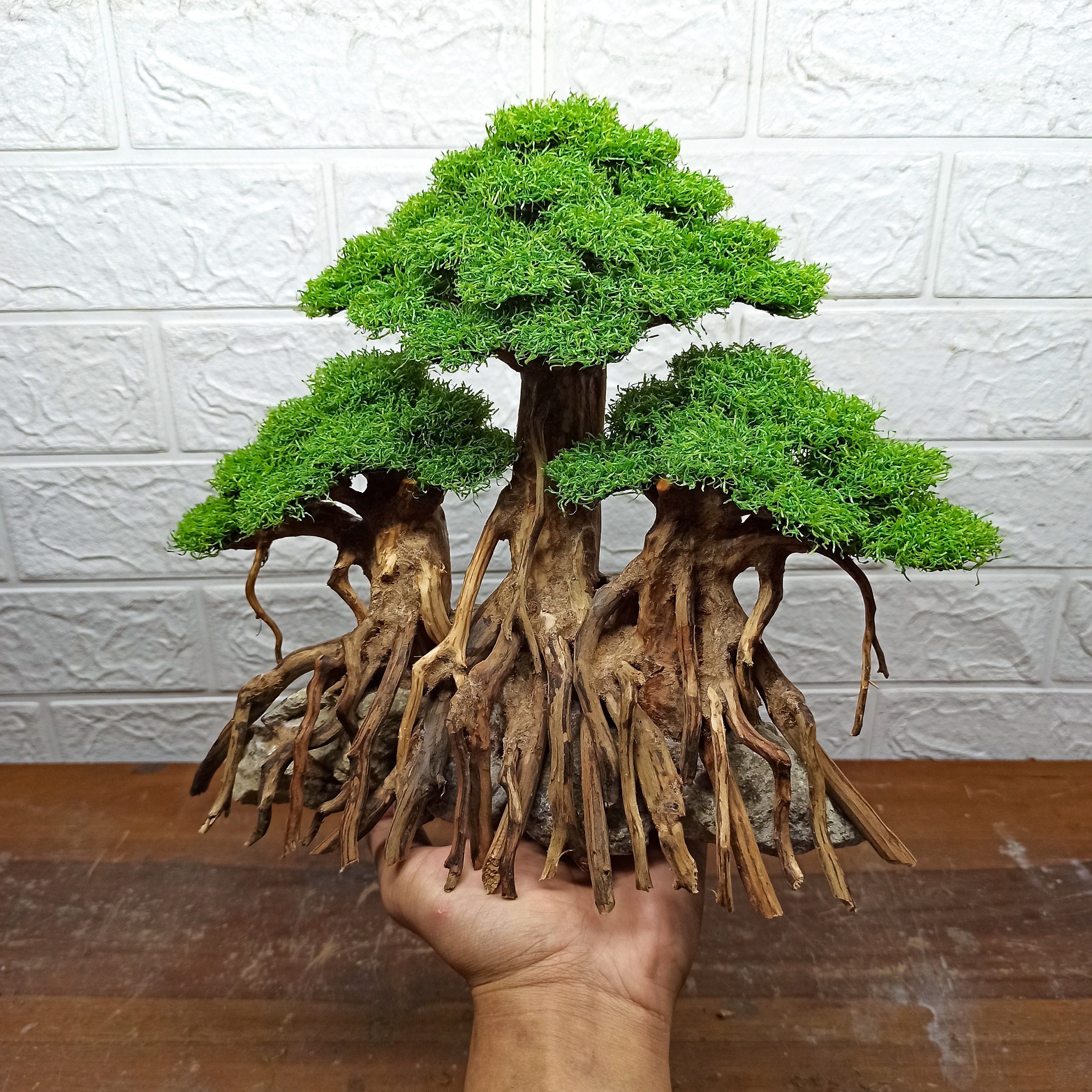 Bonsai Tree Aquarium Bonsai Driftwood Fish Tank Decoration Etsy