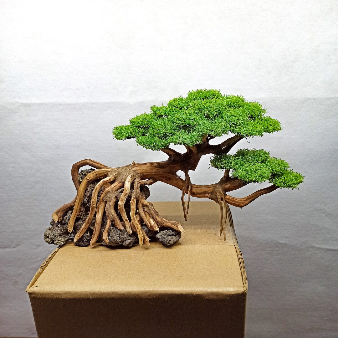 Bonsai Tree Aquarium Bonsai Driftwood Fish Tank Decoration Etsy