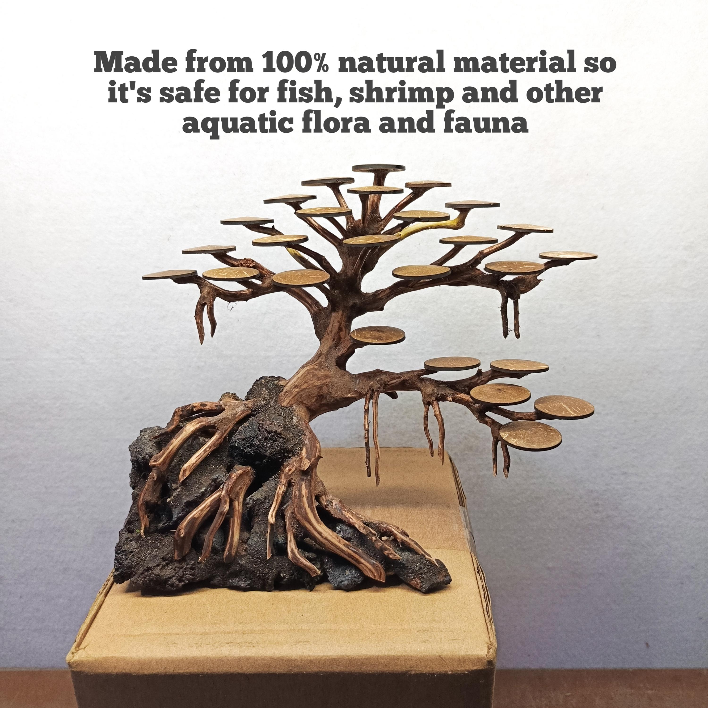 Unique Bonsai Driftwood Aquarium Tree Plants | Fish Tank & Shrimp ...