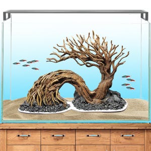 Aquarium Driftwood, Wood bonsai natural aquarium, Bonsai for Aquarium, Fish Tank Decoration, Aquarium Aquascape, Aquarium Decoration