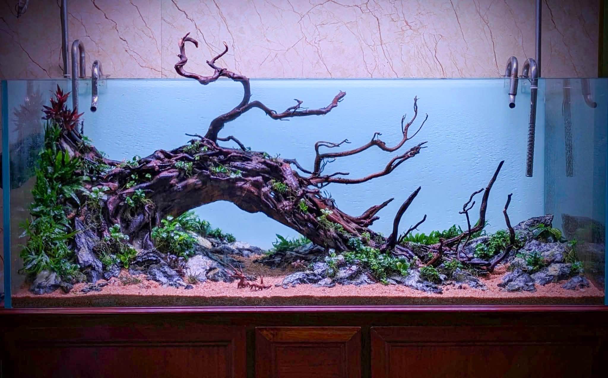 Aquarium Driftwood, Hardscape Natural Aquarium, Hardscape for Aquarium ...