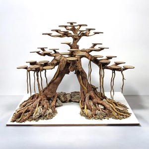 Bonsai Baum Aquarium, Bonsai Treibholz, Bonsai für Aquascape & Aquarium, Dekoration Aquarium, Aquarium Dekoration, Baumschmuck