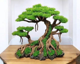 Bonsai Treibholz Aquarium Baum: Lavastein Dekor - Etsy.de