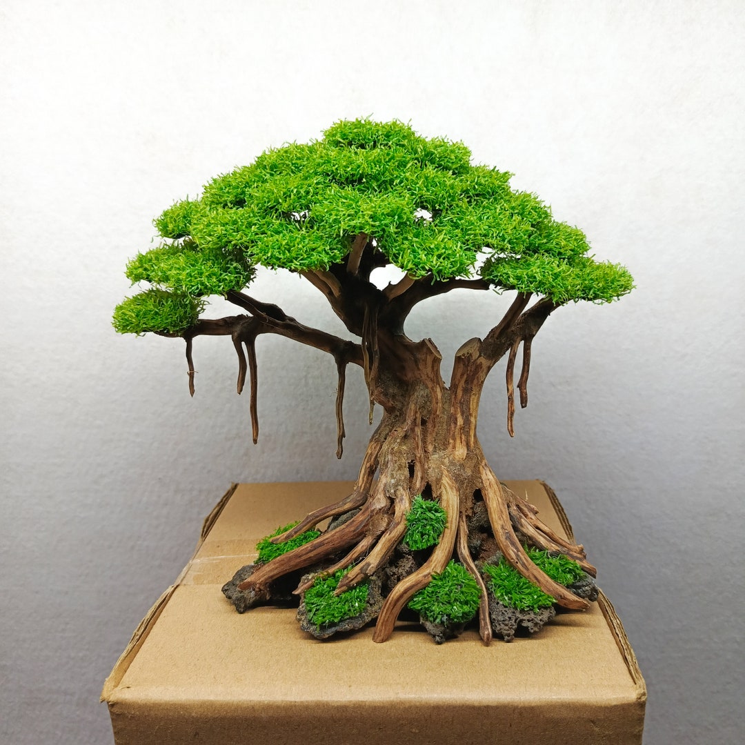 Bonsai Tree Aquarium Bonsai Driftwood Fish Tank Decoration Etsy
