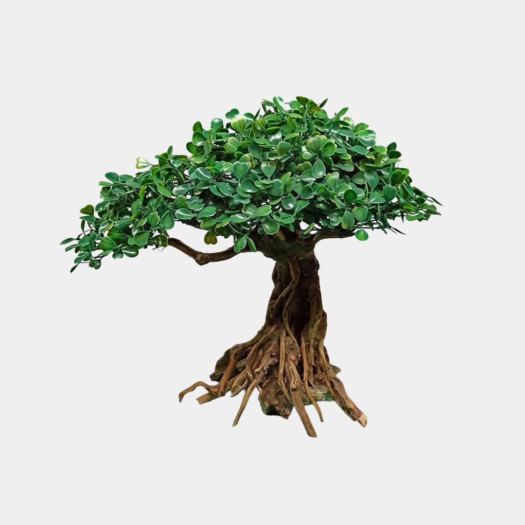 Bonsai Tree Aquarium Bonsai Driftwood Fish Tank Decoration Etsy