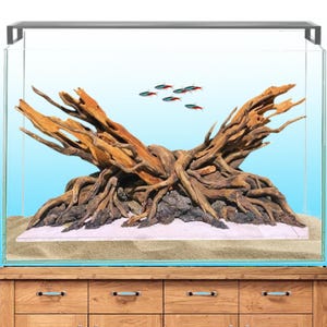 Può includere: Un acquario rettangolare in vetro con sfondo azzurro. All'interno, una grande e intricata disposizione di legni e rocce crea una scena subacquea naturalistica. Diversi piccoli pesci rossi e blu nuotano in alto. L'acquario è su un mobile di legno.