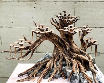 水槽用流木盆栽、水草、水槽装飾用植物 - Etsy 日本