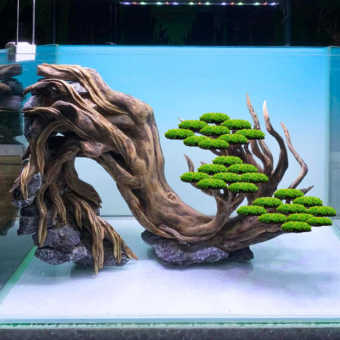Aquarium Aquascape Driftwood Bonsai Tree for Betta Fish Decoration ...