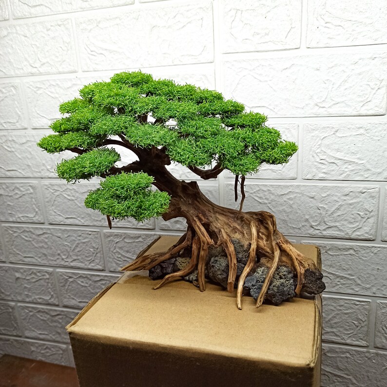 Bonsai Tree Aquarium Bonsai Driftwood Fish Tank Decoration Etsy UK