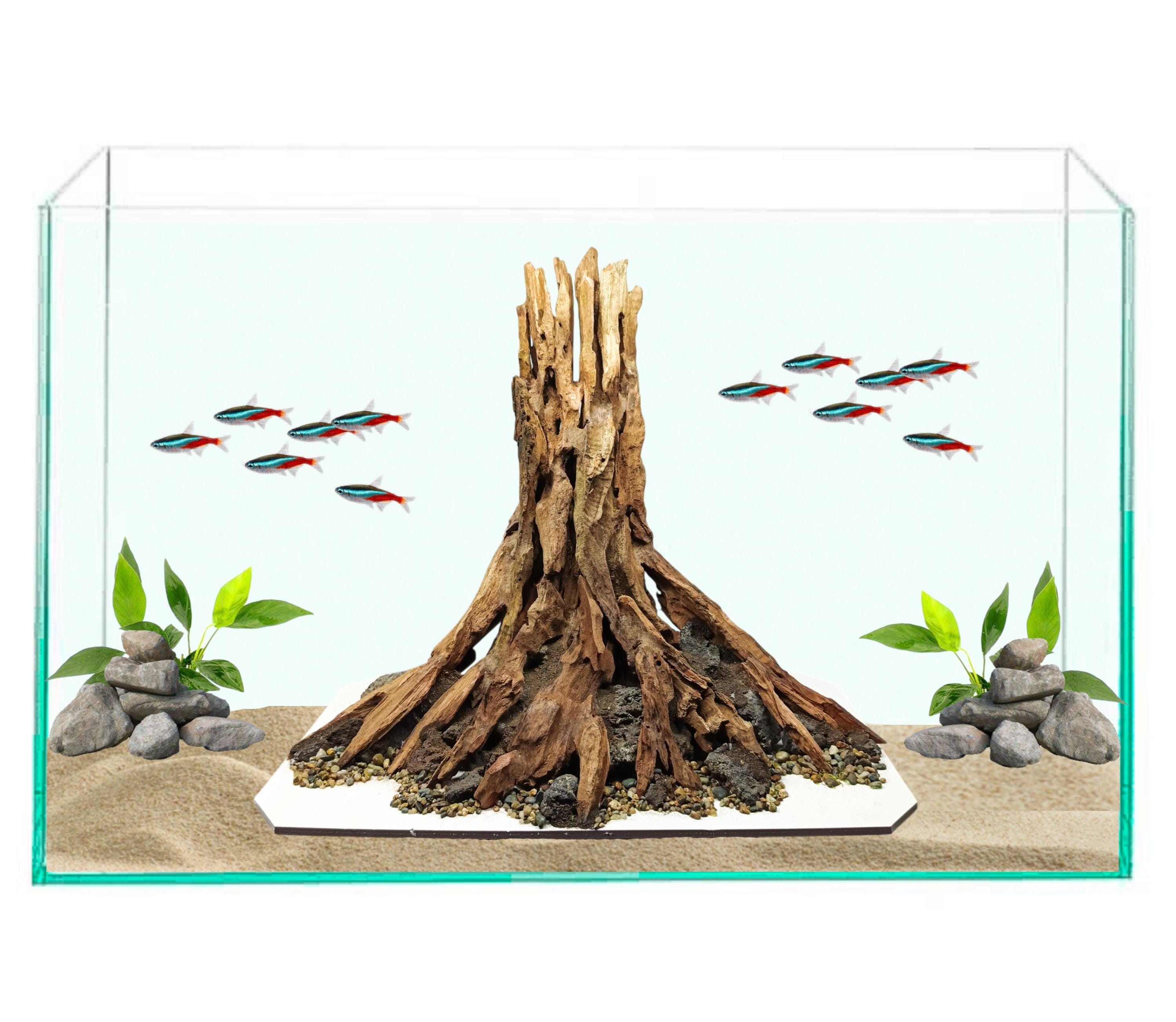 Large Aquarium Driftwood Tree Stump | Betta Fish Tank & Shrimp ...