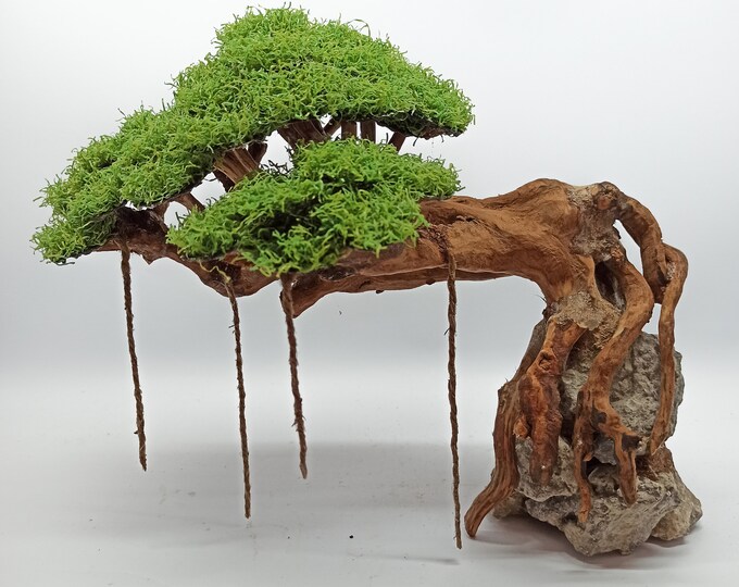Bonsai Aquarium Artificial Moss, Bonsai Aquarium Driftwood, Bonsai