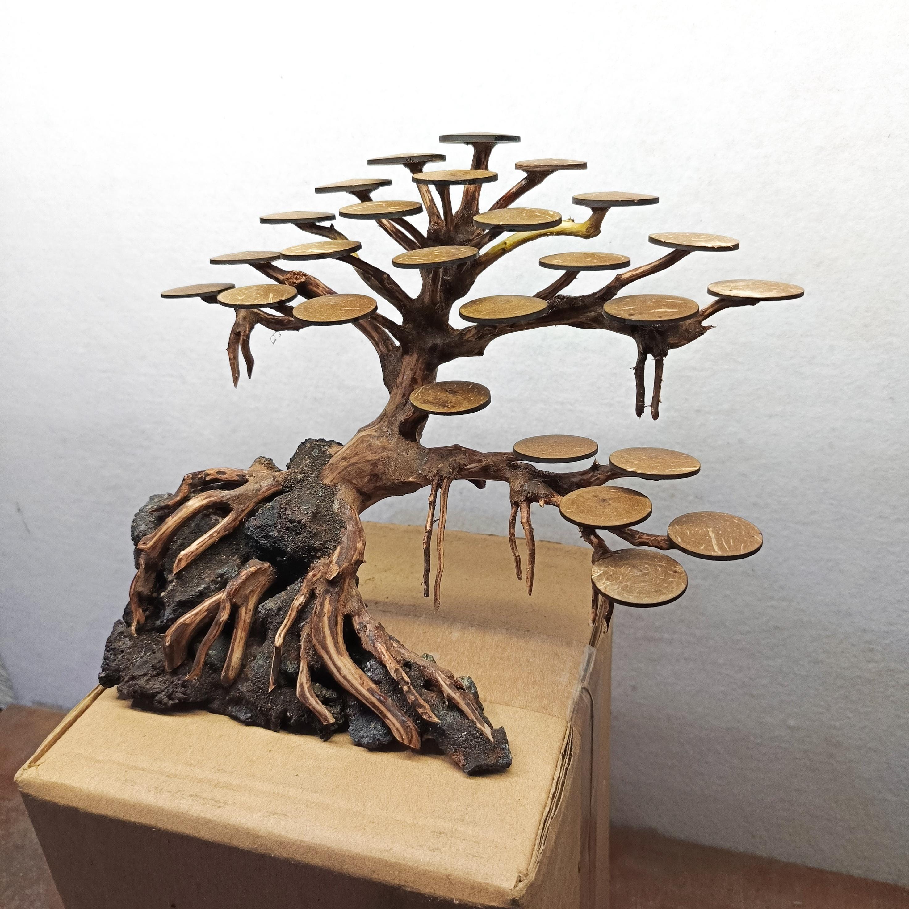 Unique Bonsai Driftwood Aquarium Tree Plants | Fish Tank & Shrimp ...