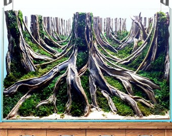 Aquarium Driftwood Background Hardscape for Aquatic Plants | Axolotl, Betta Fish & Shrimp Decoration