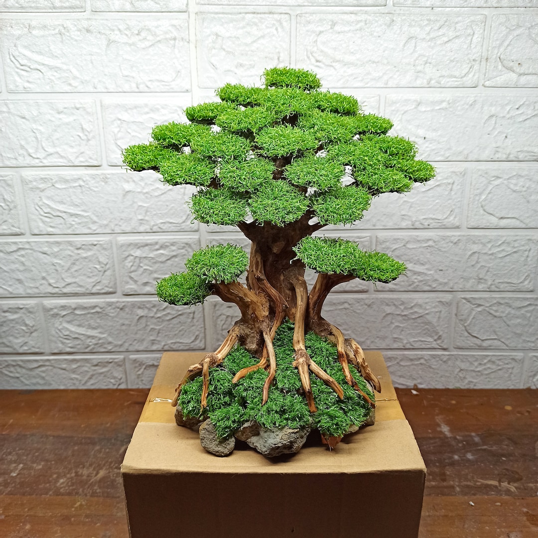 Bonsai Tree Aquarium, Bonsai Driftwood, Fish Tank Decoration, Aquarium