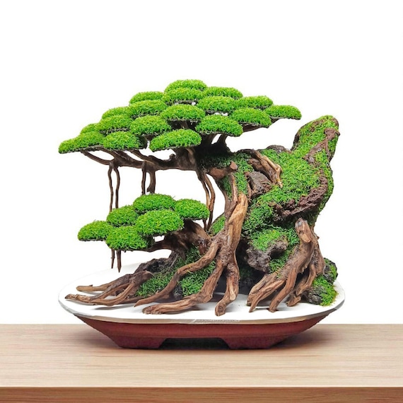 Aquarium Decoration Bonsai Driftwood | Bonzai Tree Fake Moss Ornament for  Betta Fish & Shrimp Tank Centerpiece - Etsy