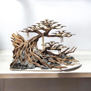 Bonsai Tree Aquarium, Bonsai Driftwood, Bonsai for Aquascape & Aquarium, Fish Tank Decoration, Aquarium Aquascape, Aquarium Decoration