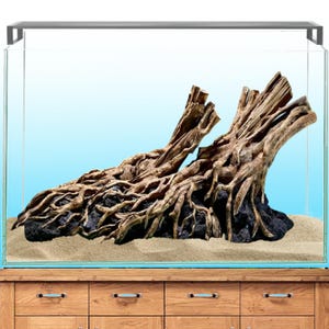 Könnte beinhalten: Eine natürliche Aquariendekoration mit einer großen, braunen Treibholzstruktur mit detaillierten Wurzeln. Das Treibholz liegt auf einem dunklen, strukturierten Sockel und schafft eine Unterwasserlandschaft. Das Aquarium ist mit Sand und einem blauen Hintergrund gefüllt.