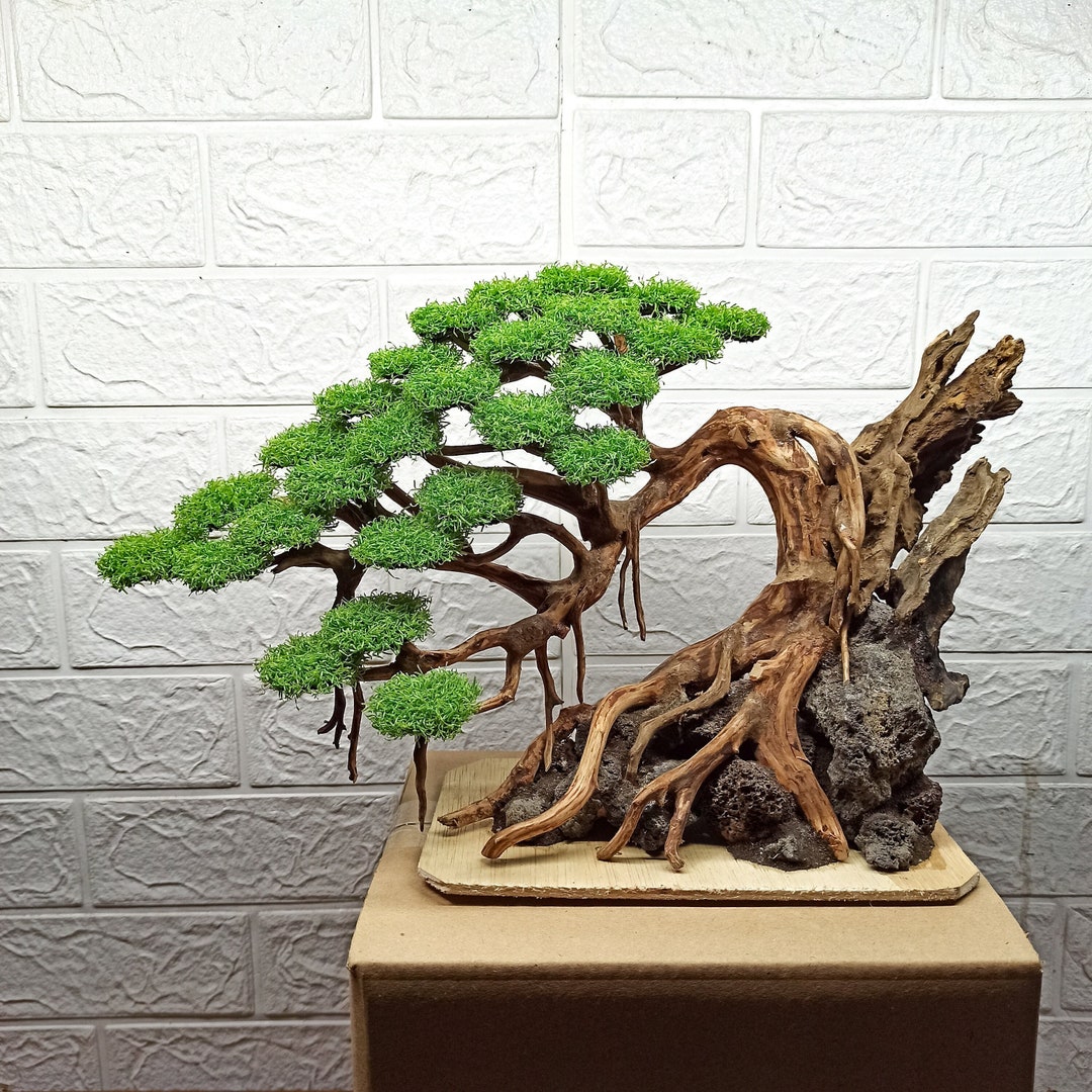 Bonsai Tree Aquarium, Bonsai Driftwood, Fish Tank Decoration, Aquarium