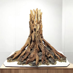 Large Aquarium Driftwood Tree Stump | Betta Fish Tank & Shrimp Decoration