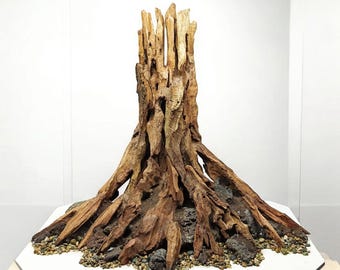 Large Aquarium Driftwood Tree Stump | Betta Fish Tank & Shrimp Decoration