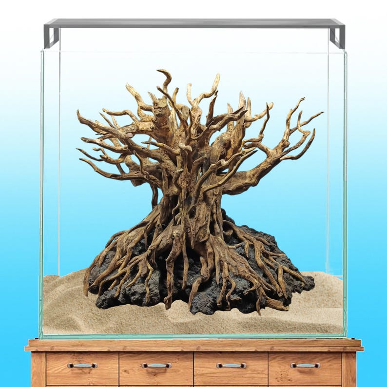 Natural Driftwood Stump, Bonsai Tree Stump, Natural Driftwood, Fish ...