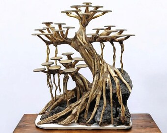 水槽用流木盆栽、水草、水槽装飾用植物 - Etsy 日本