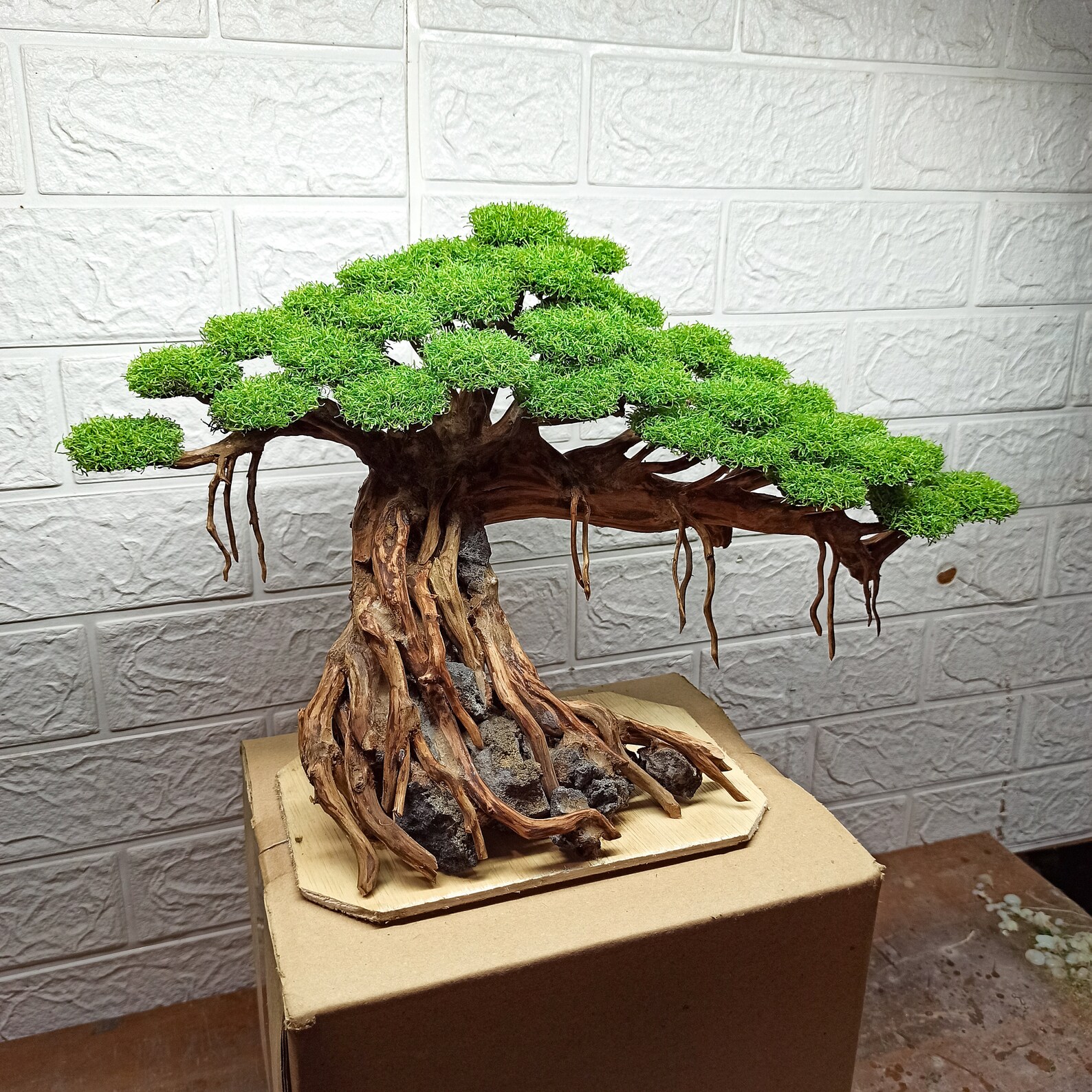 Bonsai Tree Aquarium, Bonsai Driftwood, Fish Tank Decoration, Aquarium