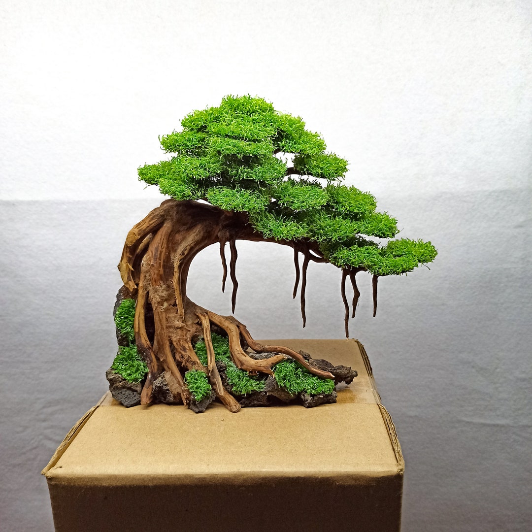 Bonsai Tree Aquarium Bonsai Driftwood Fish Tank Decoration Etsy