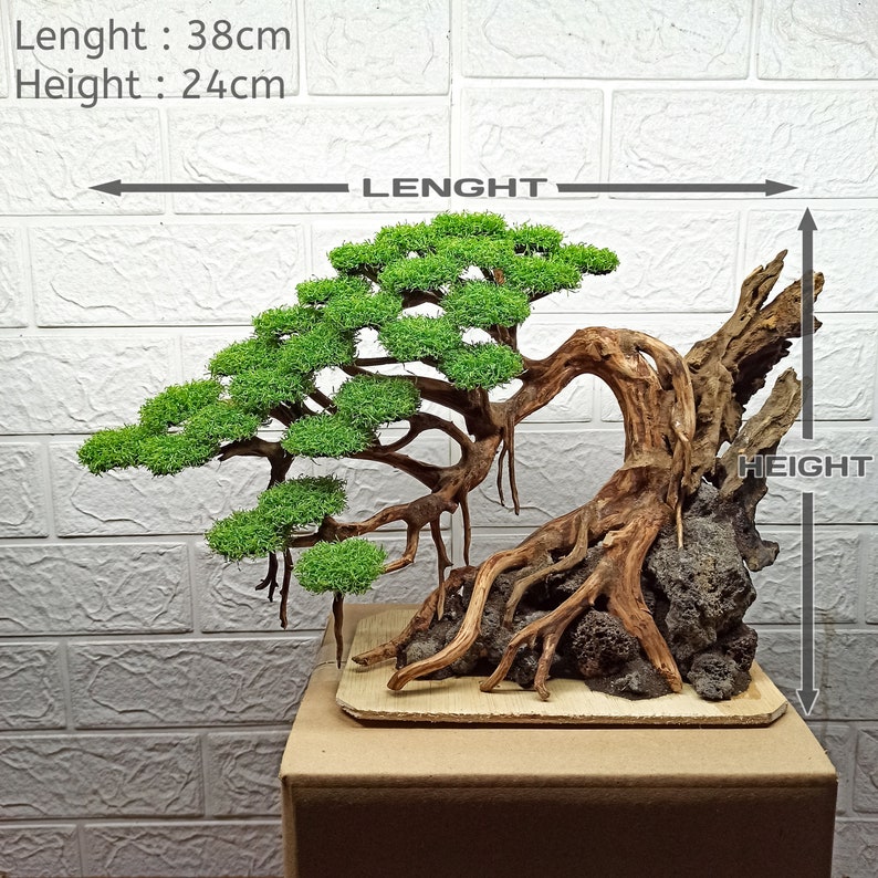 Bonsai Tree Aquarium, Bonsai Driftwood, Fish Tank Decoration, Aquarium