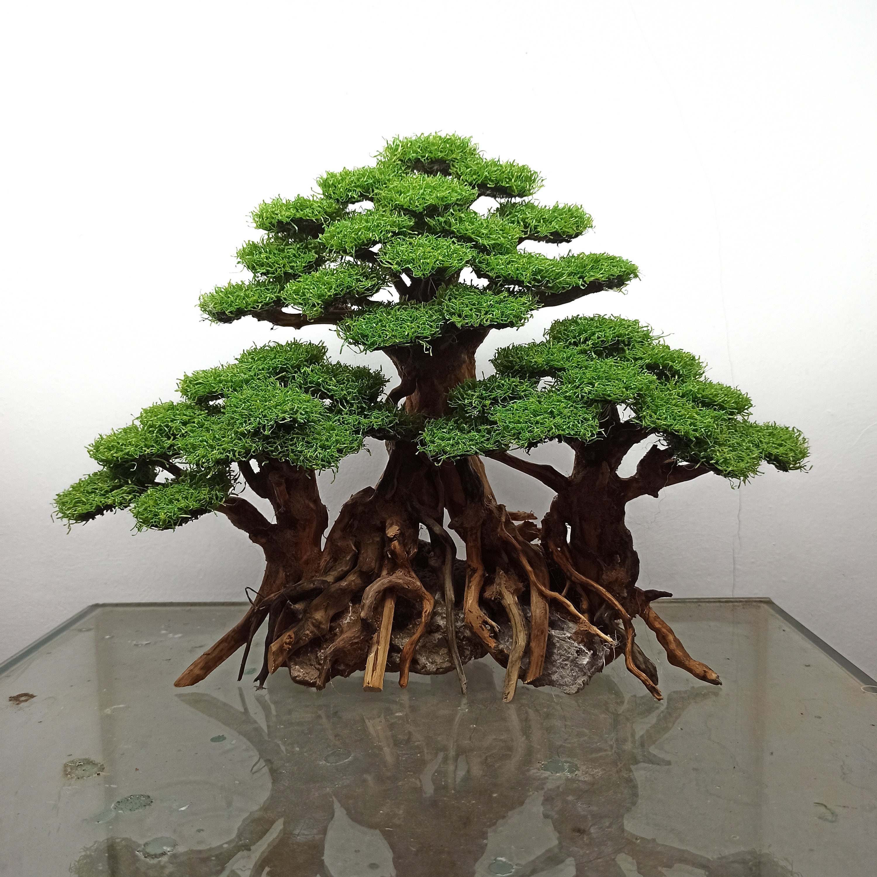 Bonsai Aquarium Synthetic Moss Bonsai Aquarium Driftwood Etsy