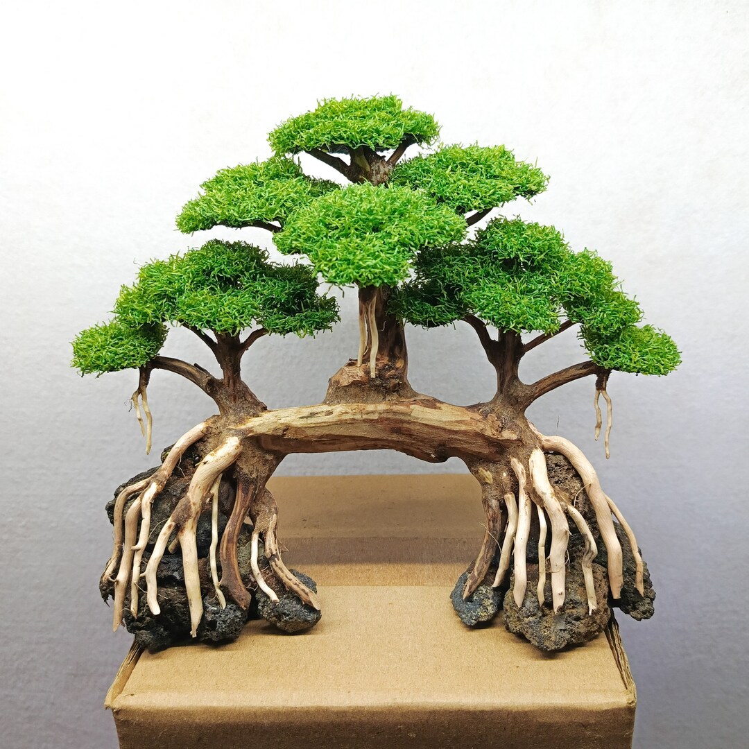 Bonsai Tree Aquarium, Bonsai Driftwood Fake Moss, Bonsai Driftwood