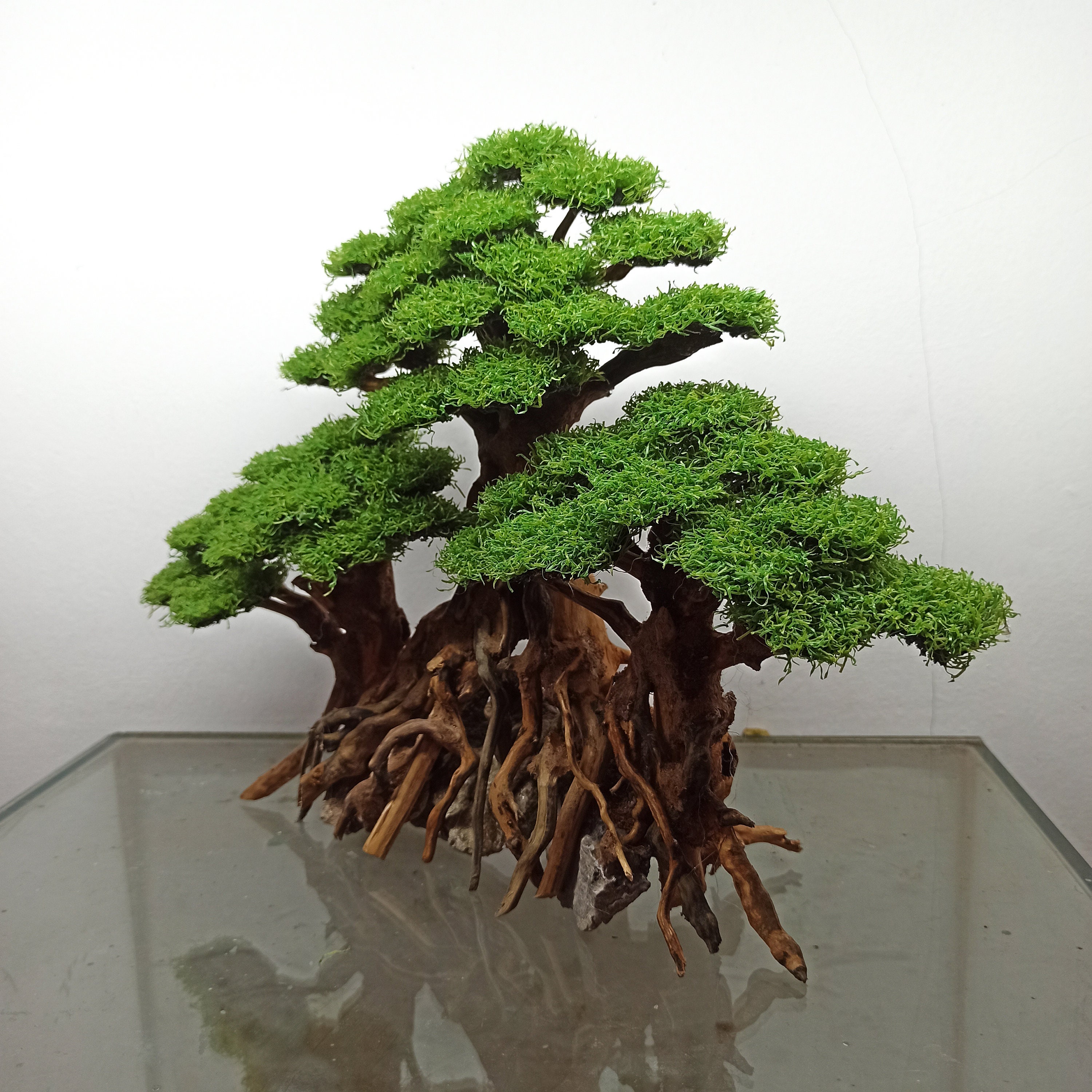 Bonsai Aquarium Synthetic Moss Bonsai Aquarium Driftwood Etsy