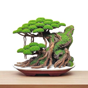 Bonsai Tree Aquarium, Bonsai Driftwood Fake Moss, Bonsai Driftwood, Fish Tank Decoration, Aquarium Aquascape, Aquarium Decoration for Fish