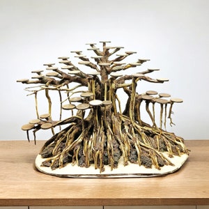 Bonsai Tree Aquarium, Bonsai Driftwood, Bonsai for Aquascape & Aquarium, Fish Tank Decoration, Aquarium Aquascape, Aquarium Decoration